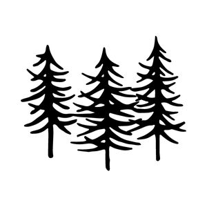 Marche dans la forêt Marche dans la forêt